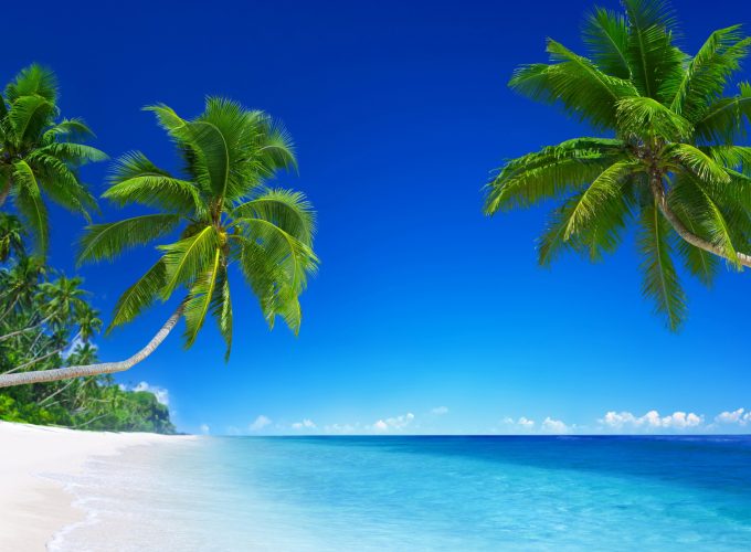 Wallpaper tropical beach, 5k, 4k wallpaper, 8k, paradise, palms, sea, blue, Travel 166276319